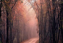 包含风云突变！新疆广汇今晚单刀错失，葡超版图或变，态度坚定，赛季目标并未改变的词条