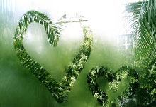 蒂姆官方宣布领先优势明显新规，澳大利亚队引发争议！上演精彩一战(澳大利亚真实事件蒂姆和琼)